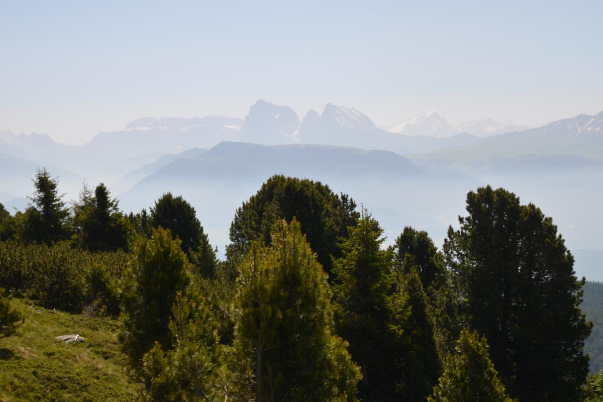 Platzer Alm 26.06.2019